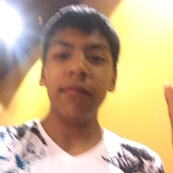 Meet your Posher, Ariel - Picture 1 of 1